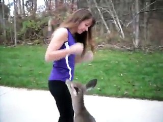 Elle reçoit une visite insolite de la forêt tout les matins