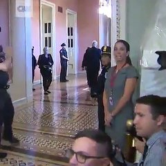 Protester throws flags at Trump