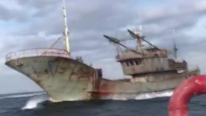 지그재그 도주...소청도 해상서 불법 중국어선 1척 나포 / YTN