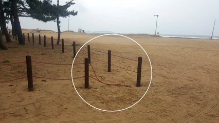 군의원이 태안해안국립공원 내 울타리 훼손 논란 / YTN