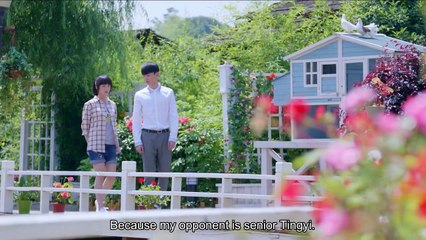 Whirlwind Girl  13（Hu Bingqing,Yang Yang,Chen Xiang,Bai Jingting）