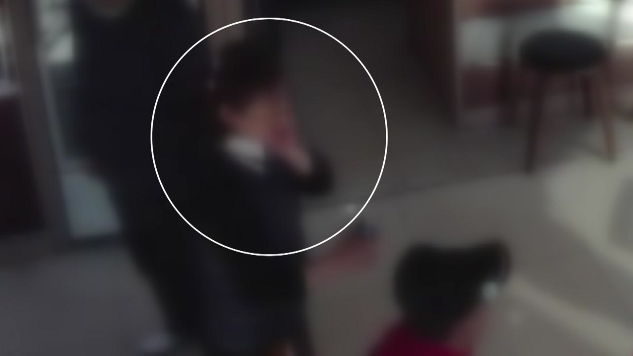 건설사 대표 폭행 혐의 피소...국립공원 시설 훼손한 군의원 / YTN