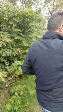 Clashes Outside US Embassy in Beirut During Protest Against US Jerusalem Move