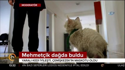 Mehmetçik dağda buldu