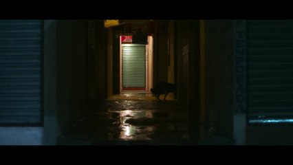 Ver Cometa Él su Perro y su Mundo película Online Latino