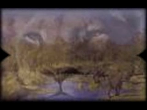 Clip Mon Bloc ( by Rotka) rap rotka 69 lyon 2009 violent