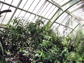 Jardins des Plantes-Serres