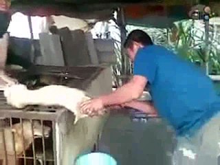 ĐỜI CÓ VAY CÓ TRẢ LUẬT NHÂN QUẢ KHÔNG BỎ XÓT MỘT AI