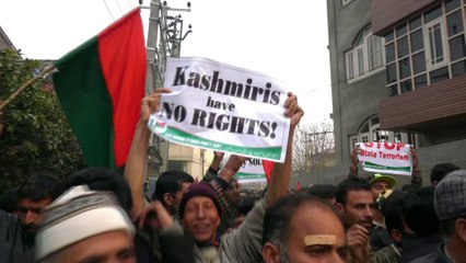 Kashmiris 'fed up' with India's human rights abuses