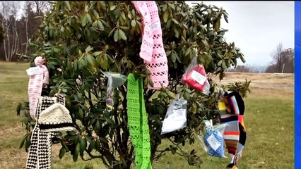 Knitting Group Leaves Winter Clothing Throughout Pennsylvania Town for Those in Need