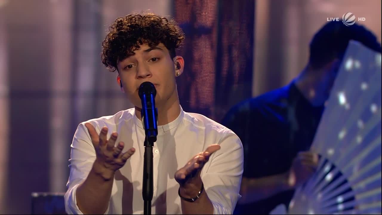 Melvin Vardouniotis: 'The Greatest Love Of All' HalbFinale | The Voice Of Germany 2017