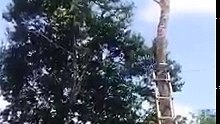 common sence is not just common. watch this video