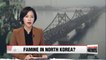Oil embargo on North Korea could lead to mass starvation: Expert