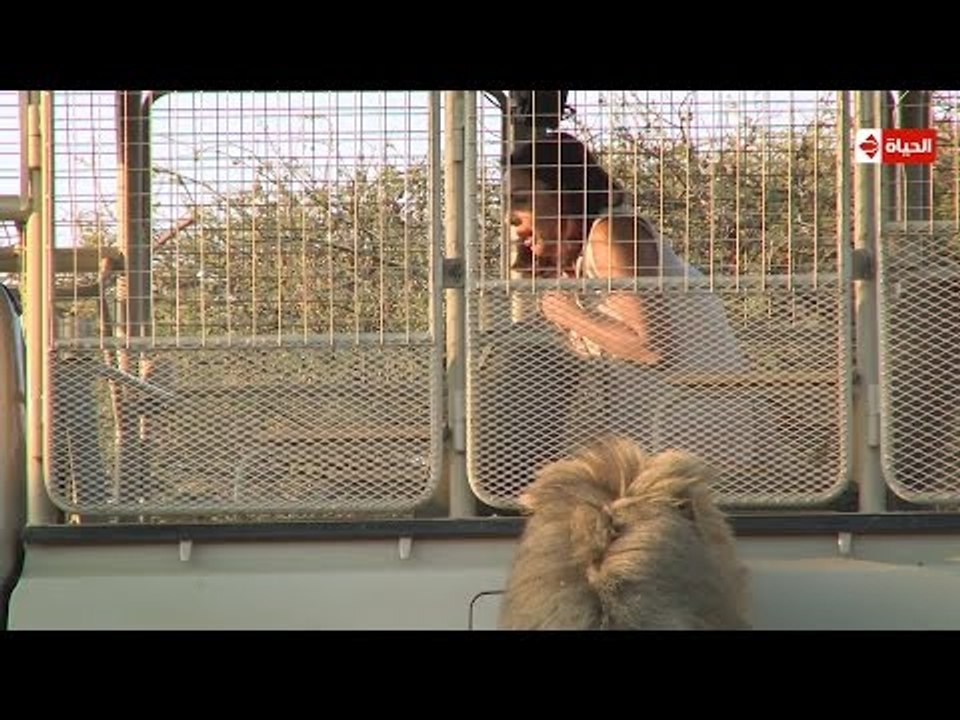 هاني فى الادغال | الحلقة العاشرة (10) كاملة | ض...