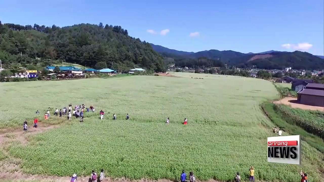 Literature Tour in Gangwon-do Province