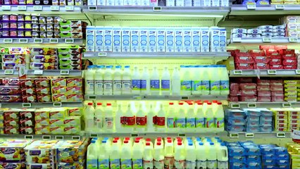 DAS SYSTEM MILCH | Trailer [HD]