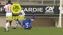 Zapping de la 17ème journée - Ligue 1 Conforama / 2017-18