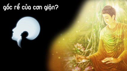 Làm sao để kiềm chế và kiểm soát cơn giận