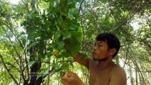 Primitive Technology  Pick up Fruit in The Forest