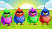 Wrong Heads Angry Birds Movie Red Characters For Learn Colors For Kids-pKm7xa722WA