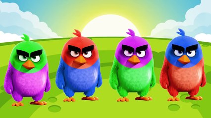 Wrong Heads Angry Birds Movie Red Characters For Learn Colors For Kids-pKm7xa722WA