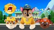 Wrong Heads Paw Patrol Stuffed Animal Marshall Zuma Rubble Chase For Learn Colors-XZVNvyTyT30