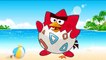 Angry Birds Red Birds Transforms into Pokemon Go My Little Pony Paw Patrol-IWVdQmWYB48