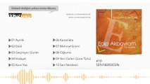 Edip Akbayram - Sen Nerdesin (Official Audio)