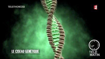 Sciences -  Le ciseau génétique