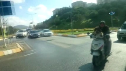 Motosiklet Yolculuğu Yapan Köpek Kamerada