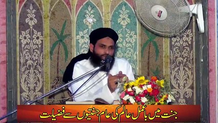 Jannat Main Ba Amal Aalim Ki Aam Musalman Par Fazeelat  جنت میں با عمل عالم کی عام جنتیوں پر فضیلت