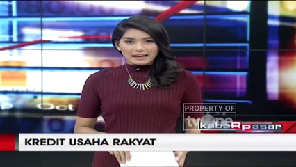 Pencapaian Penyaluran KUR Sampai Akhir Tahun Sudah Positif