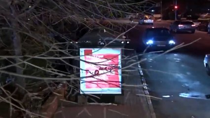Maraz Ali, Baş Belasından Kurtulabilecek mi? - Adanalı 50.Bölüm