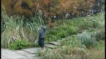 Çin'de Görünmezlik Pelerini Videosu Rekor Kırdı