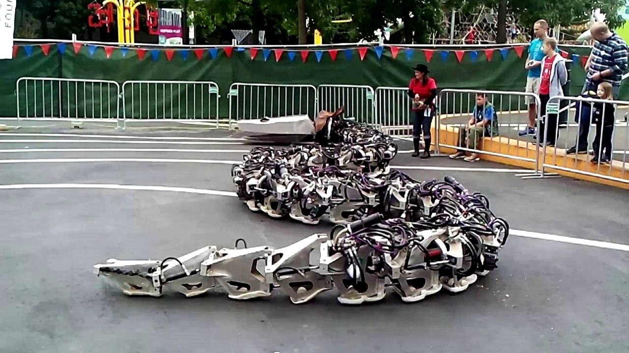 Snake robots can use their many internal degrees of freedom