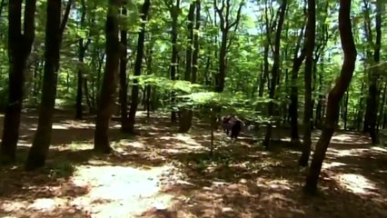 Çatışma Başlıyor! - Adanalı 68.Bölüm