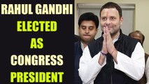 Rahul Gandhi takes over as Congress President, replaces his mother Sonia Gandhi | Oneindia News
