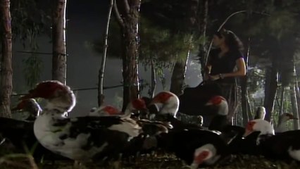 Pamuk Evden Kaçıyor! - Adanalı 72.Bölüm