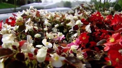 Adanalıdan Duygusal Sahne! - Adanalı 79.Bölüm