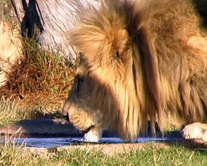 My Baby Can Talk Sharing Signs part 5