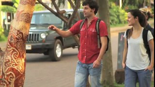 Indian tourism   Travelling to GOA (HD)