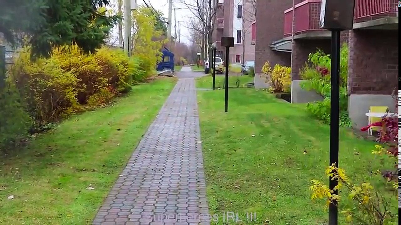 #14Frozen Elsa & Spiderman FINDS a DRAGON EGG! w  Maleficent Joker Toys Fun Superhero in real life (2) | Superheroes | Spiderman | Superman | Frozen Elsa | Joker