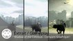 Extrait / Gameplay - Shadow of the Colossus Remake - Comparaison des graphismes PS2 / PS3 / PS4 Pro
