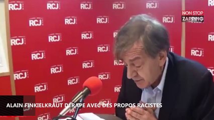 Hommage à Johnny Hallyday : Alain Finkielkraut choque avec des propos racistes (Vidéo)