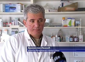 Neophodna kontrola svinjskog mesa, 11. decembar 2017 (RTV Bor)