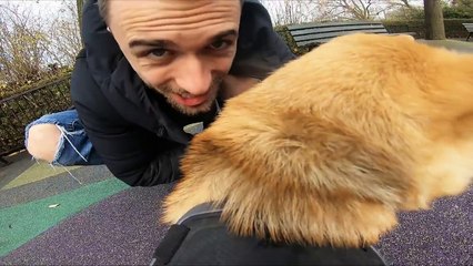 LE VRAI VISAGE DE NATSU