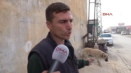 Konya Köpekler İçin Yaptıkları Kulübeyi, Komşusu Vinçle Yıktı