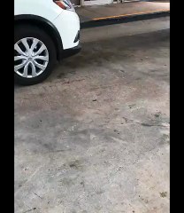 Homie Buffing His Banana In Public At a Gas Station