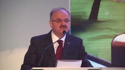 '3. Anadolu Animasyon ve Dijital İşler Festivali' başladı - ESKİŞEHİR