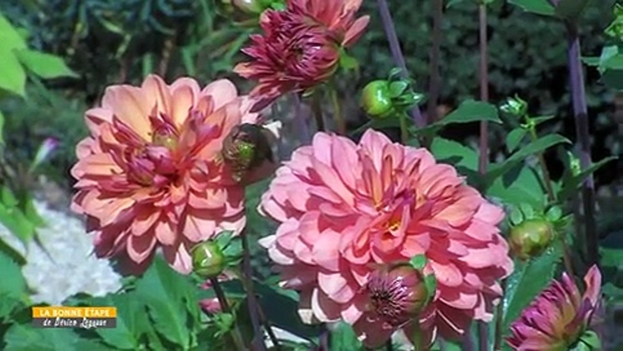 La Bonne Etape - Le Clos du Tilleul